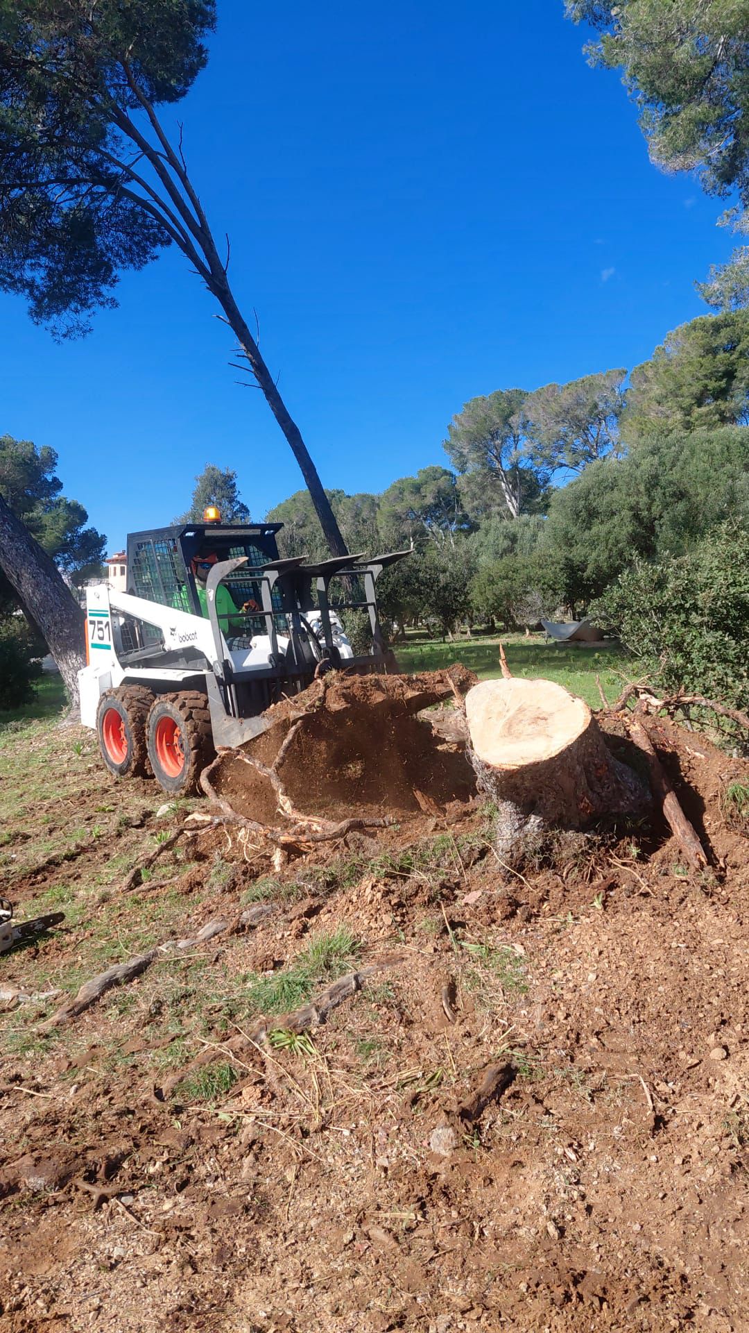 Pala cribadora con garra